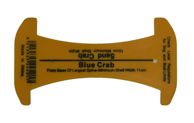 Person measuring crab