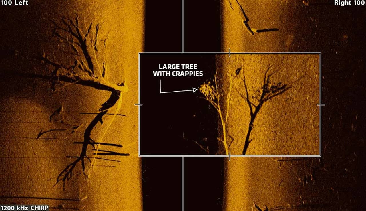 Sidescan example